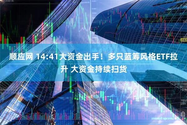 顺应网 14:41大资金出手！多只蓝筹风格ETF拉升 大资金持续扫货