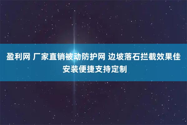 盈利网 厂家直销被动防护网 边坡落石拦截效果佳 安装便捷支持定制