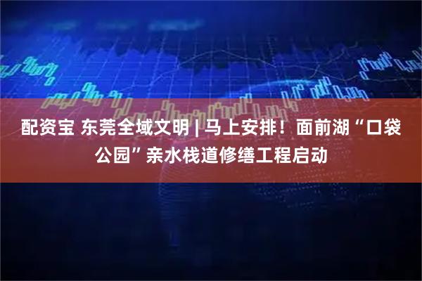 配资宝 东莞全域文明 | 马上安排！面前湖“口袋公园”亲水栈道修缮工程启动