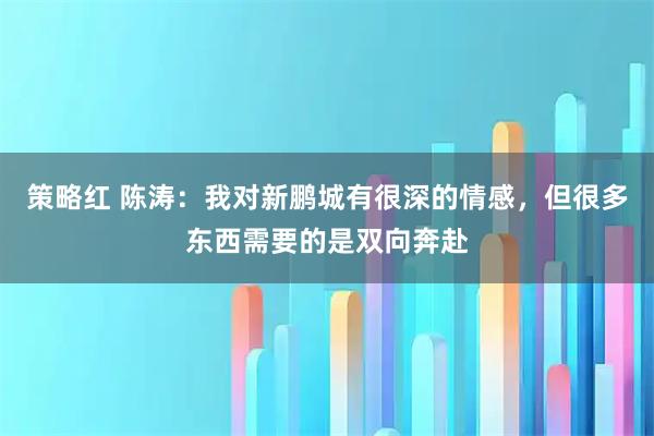 策略红 陈涛：我对新鹏城有很深的情感，但很多东西需要的是双向奔赴