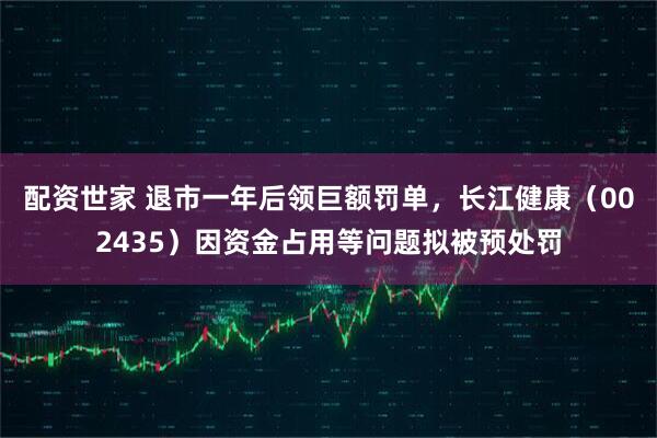 配资世家 退市一年后领巨额罚单，长江健康（002435）因资金占用等问题拟被预处罚
