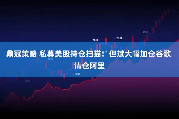 鼎冠策略 私募美股持仓扫描:但斌大幅加仓谷歌 清仓阿里
