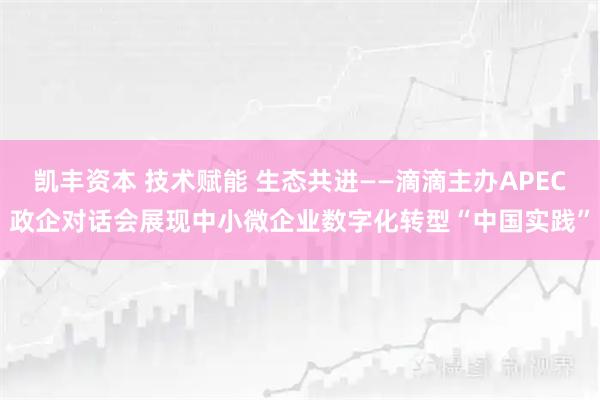 凯丰资本 技术赋能 生态共进——滴滴主办APEC政企对话会展现中小微企业数字化转型“中国实践”