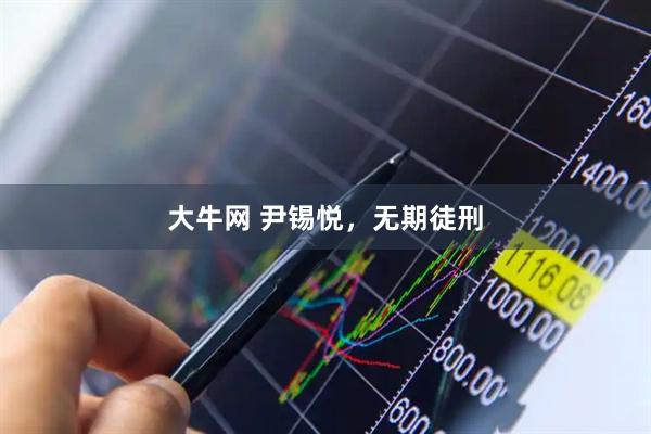 大牛网 尹锡悦，无期徒刑