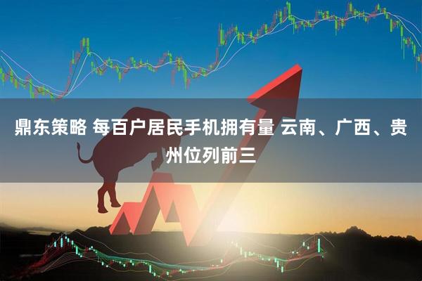 鼎东策略 每百户居民手机拥有量 云南、广西、贵州位列前三